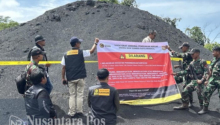 70 Ribu Ton Tumpukan Batubara Ilegal di Kaltim Diamanakan Ditjen Gakkum