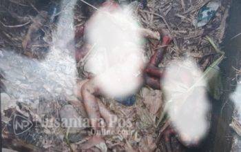 Identitas Ibu & Anak Yang Ditemukan Tewas di Eks Aspol Jombang Terungkap