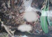 Ibu dan Anak Ditemukan Tewas Mengenaskan di Eks Aspol Jombang