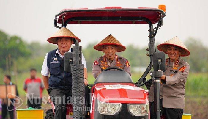 Penanaman Jagung Serentak Kuartal I 2026 di Ogan Ilir