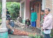 Dua Buruh Tani di Jombang Disambar Petir, Satu Tewas
