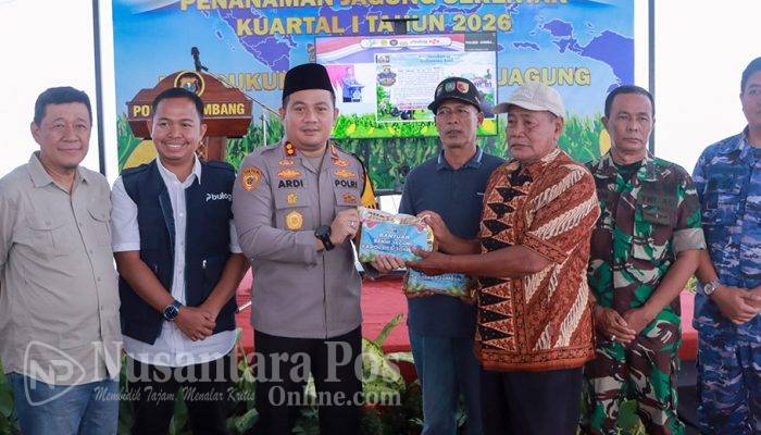 Penanaman Jagung Serentak Kuartal I 2026 di Jombang Dukung Swasembada Jagung