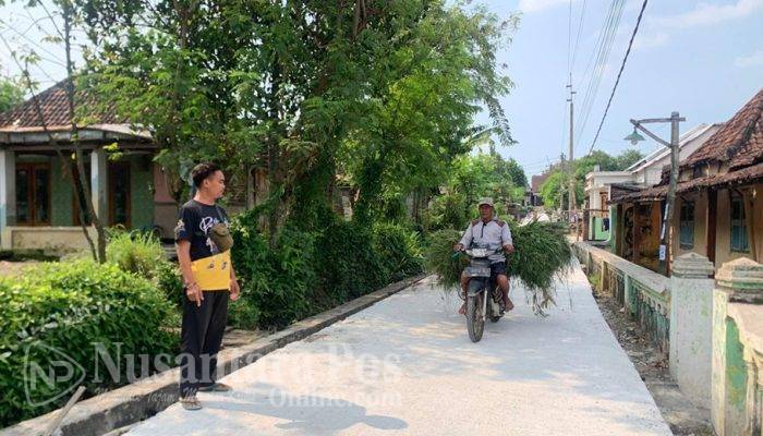 Pemdes Mojodanu Jombang Bangun Jalan Rabat Beton