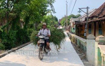 pembangunan_jalan_rabat_beton_di_desa_mojodanu_jombang
