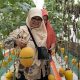 Wisata Petik Melon Super : Destinasi Baru di Deswita Sabo Dam Nglumut Magelang