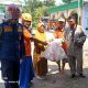BPBD Jombang Evakuasi Sarang Tawon Vespa di Desa Gondek