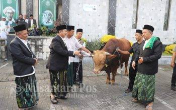 perayaan-idul-adha-1447-H-di-jombang-jatim (4)
