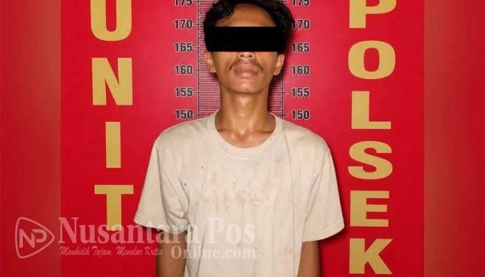 Pemuda di Pali Ditangkap Gegara Curi 7 Tandun Sawit Milik PT Surya Bumi Agro Langgeng