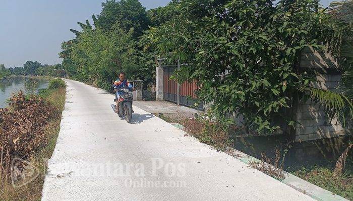 Pemdes Kedungrejo Jombang Bangun Jalan Rabat Beton 124 Meter Pakai Mantra