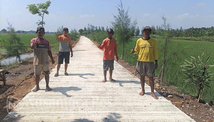 Pemdes Pojokrejo Jombang Gunakan Mantra dan Dana Desa Untuk Bangun Jalan