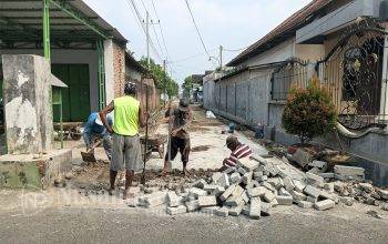 proyek-jalan-paving-desa-janti-di-jombang (4) proyek-jalan-paving-desa-janti-di-jombang (4)