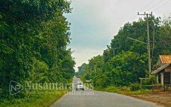 Sudah Pungli Nyabu Pula, 4 Pelaku Pungli di Jalan Lintas Belimbing–Sekayu Disikat Polisi