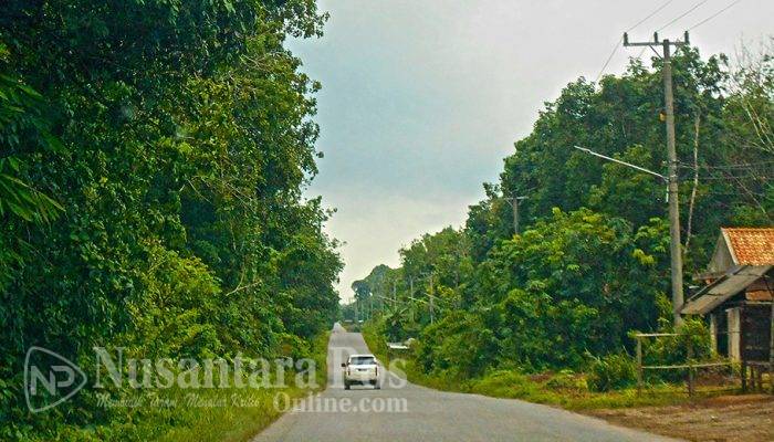 Sudah Pungli Nyabu Pula, 4 Pelaku Pungli di Jalan Lintas Belimbing–Sekayu Disikat Polisi