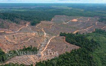 Praktik Manipulasi Hukum dan Perusakan Lingkungan Berkedok Proyek Strategis
