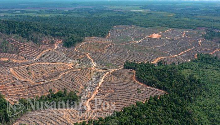 Praktik Manipulasi Hukum dan Perusakan Lingkungan Berkedok Proyek Strategis