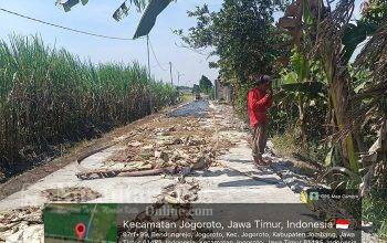 proyek-jalan-rabat-beton-pemdes-jogoroto-jombanb (1)
