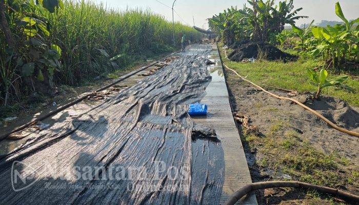 Lewat Swakelola, Desa Jogoroto Jombang Sukses Selesaikan Jalan Rabat Beton Rp 200 Juta