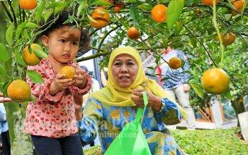 Desa Wisata Punten Kota Batu: Menjahit Potensi Lokal Jadi Sejuta Pesona
