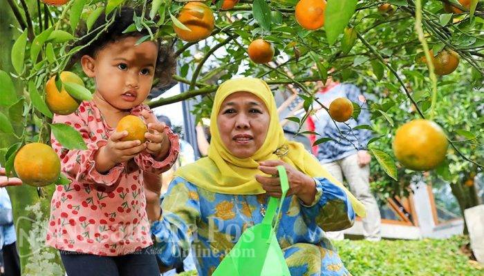 Desa Wisata Punten Kota Batu: Menjahit Potensi Lokal Jadi Sejuta Pesona