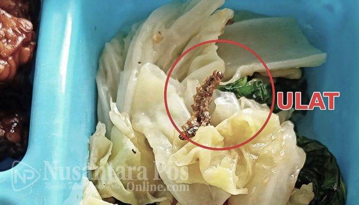 MBG di Jombang Kembali Menuai Sorotan: Ditemukan Ulat di Menu MBG Desa Gondek