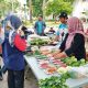 Buka Lapak di Kantor Pemda, ASN Kabupaten Magelang Didorong “Nglarisi” Produk UMKM Lokal