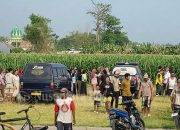 Penemuan Mayat Membusuk di Sawah Kepuhkembeng Jombang Gegerkan Warga, Diduga Warga Klagen yang Hilang