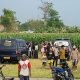 Penemuan Mayat Membusuk di Sawah Kepuhkembeng Jombang Gegerkan Warga, Diduga Warga Klagen yang Hilang