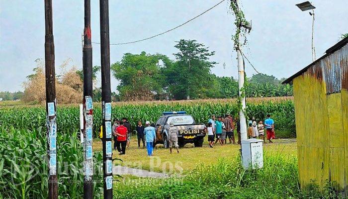 Isak Tangis Istri Pecah di Sawah Jombang, Kenali Jasad Suami yang Membusuk Dari Pakaian yang Melekat